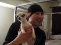 Acrobatic Dog