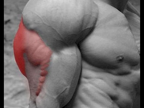 how to isolate each tricep head