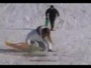 tzhs sledding, clinton dancing, south orangetown, easo