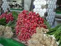 OUZBEKISTAN   MA RCHE TYPIQUE  DE SAMARKAND