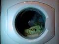 hotpoint wt960 silks prewash