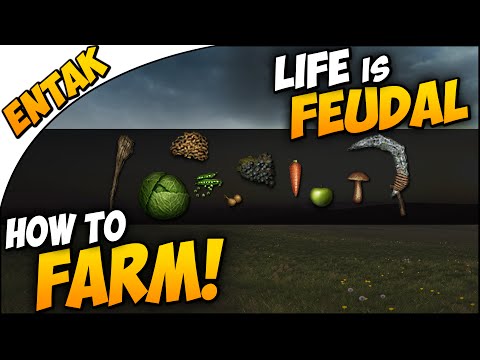 how to harvest flax fiber