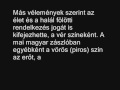 Az Árpád-sáv