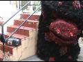 videos de Godrick Curates Blunder Bungle