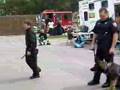 Wheeling Police Dog Attacks  IL