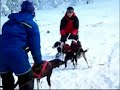 entrenamientos nieve lobos de numancia team