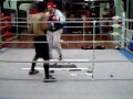 Pro Boxing Mitts Pads...