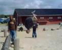 Freestyler D�nemark 2004