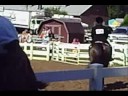 Congrats At Fair Rachel and Melanie Congrats At Fair Rachel and Melanie