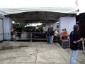 videos de F1 cantando 