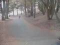 Thumbnail of video feliz año
