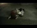 ICP- Nobody Move Ft. Mack 10- Ghetto Brawls
