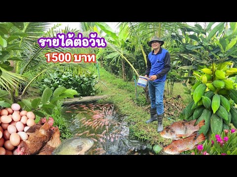 ออกแบบสวยงามมาก พื้นที่ 1 งานลงทุน 5 พัน มีรายได้ทุกวันไม่ขาด