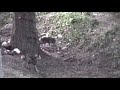 APDEP -- \"Play Run\"