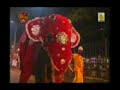 Dancing Elephents @ Dalada Perahera 2007 - Lankan Heritage!