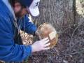 HeadHardHat Gets Shell Shocked Geocaching