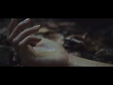 Youtube Video kbg9u3mAd_M