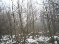 ares �ulluk