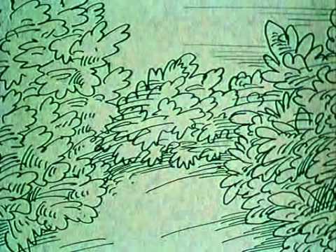 katula91 -