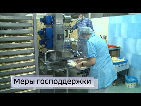 Более 300 миллионов рублей выдано малым и средним бизнес-организациям Калмыкии