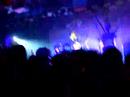 animal-collective-brother-sport.html
