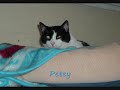 PETEY & MATILDA