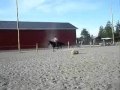 Just training some mounted archery 01 07 2009