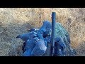 Media Veda 2018. Caza de palomas torcaces con SHOTKAM