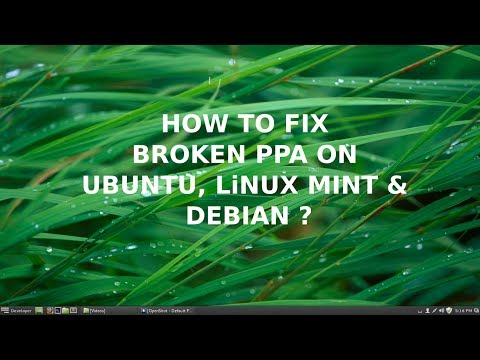 how to repair linux mint