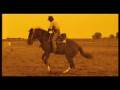 Bucking Horse - Bronco
