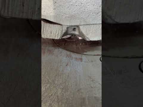 LOCKFORMER AUTO-GUIDE FLANGER 16 Flangers | THREE RIVERS MACHINERY (1)