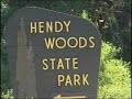 A Summary Of Our Old Growth Redwoods