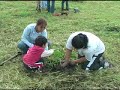 v-IMTA Jiutepec reforestacion jornada del arbol