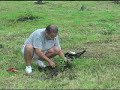 v-IMTA Jiutepec reforestacion jornada del arbol