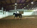 No Saddle No Bridle Go Brittany!!! No Saddle No Bridle Go Brittany!!!