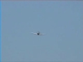 a restored ww2 p-40 static taxi flying and landing