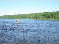 Exploits River Atlantic Salmon Taking Fly