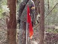 BLACK HAWKS AIRSOFT� BRASIL