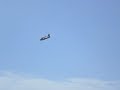 sardinia 2008 canadair immelman