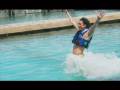 videos de Paco Memo Ochoa y su experiencia con delfines en Delphinus