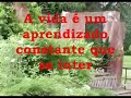 22 Frases Motivacionais - Manotom - Parte II 22 Frases Motivacionais - Manotom - Parte II