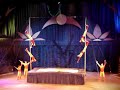 Dragon Pond Chinese Acrobats