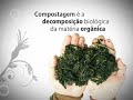 Momento Ambiental Casa Verde