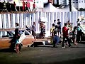 [BH] Manifesta��o contra Circo Stankowich3 - Gato Negro
