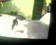 Joel Ecko Does A Tag In The Secret Halfpipe