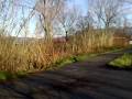 videos de 08012009001
