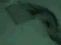 BB7 Erika & Boogie in bed
