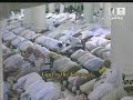 Makkah Tahajjud-(Night 1)-Witr & Dua-e-Qunoot Sheikh Sudais