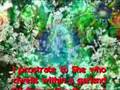 TWENTY - ONE VERSES OF PRAISE TO TARA
