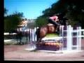 Horse Jumping Lessons